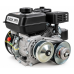 Двигун з варіатором Bizon BS170F-Q